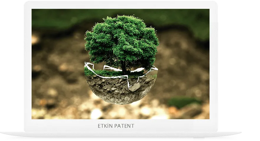 patent on koruma yöntemleri-beşiktaş web tasarım